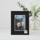 Carte Postale Chat Smartmouth (Debout devant)