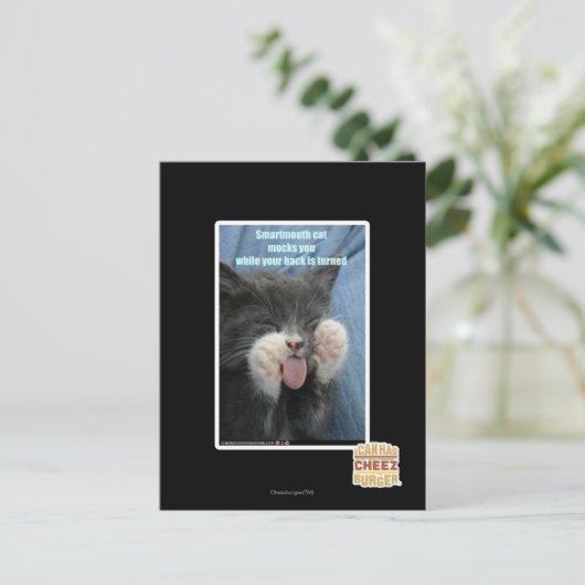 Carte Postale Chat Smartmouth (Debout devant)