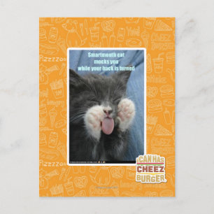 Carte Postale Chat Smartmouth