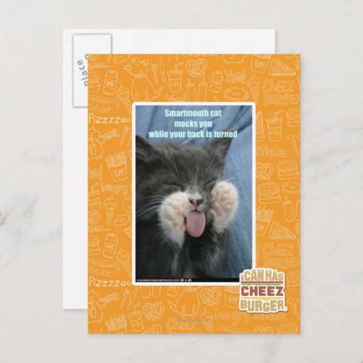 Carte Postale Chat Smartmouth (Devant / Derrière)