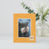 Carte Postale Chat Smartmouth (Debout devant)