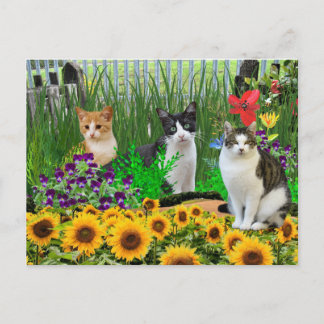 Carte Postale Chat Smoking dans un Jardin de Fleurs / Art de Col