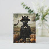 Carte Postale Chat sorcière avec citrouilles  (Debout devant)