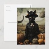 Carte Postale Chat sorcière avec citrouilles  (Devant / Derrière)