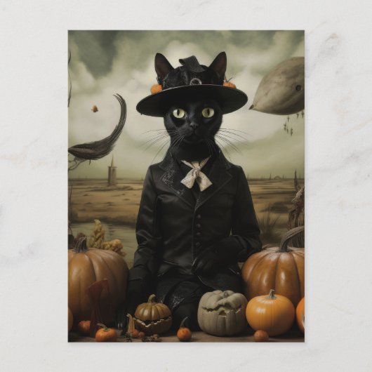 Carte Postale Chat sorcière avec citrouilles  (Devant)