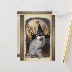 Carte postale Chat Sorcières