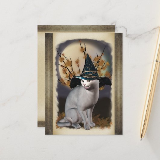 Carte postale Chat Sorcières (Devant/Arrière en situation)