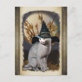 Carte postale Chat Sorcières (Devant)