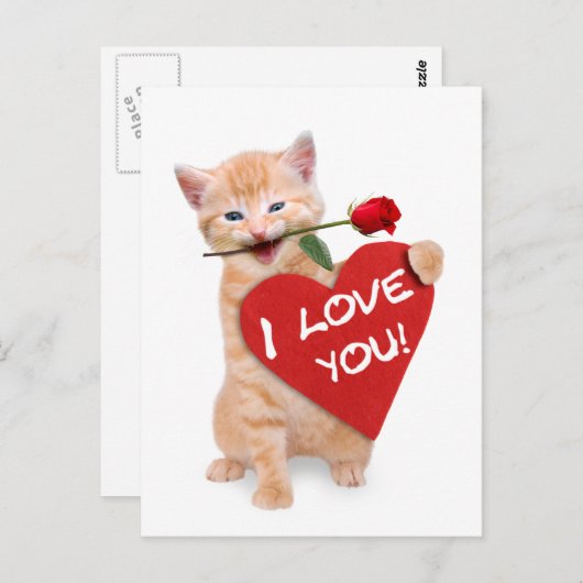 Carte Postale Chat souriant amoureux (Devant / Derrière)