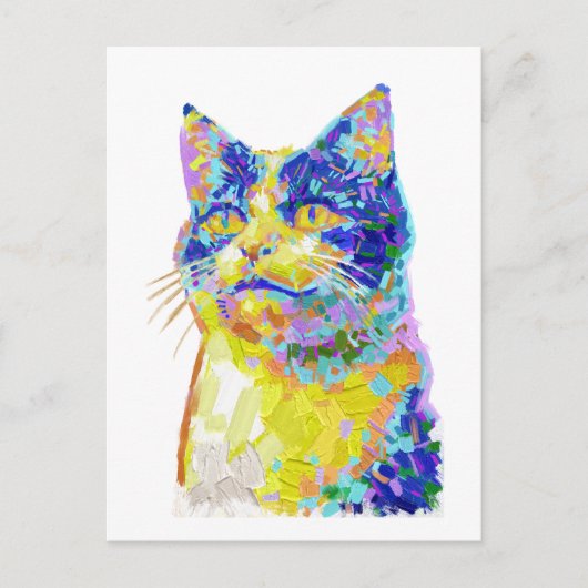 Carte Postale Chat sous le soleil (Devant)