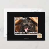 Carte Postale Chat sous-sol (Devant / Derrière)