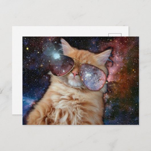 Carte Postale Chat spatial portant des lunettes de soleil (Devant / Derrière)