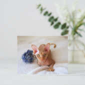 Carte Postale Chat Sphinx avec moule Bleu (Debout devant)