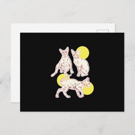 Carte Postale Chat Sphynx (Devant / Derrière)