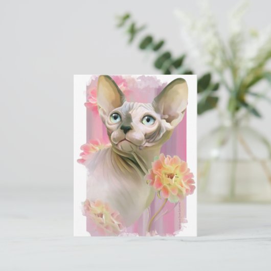 Carte Postale Chat Sphynx (Debout devant)