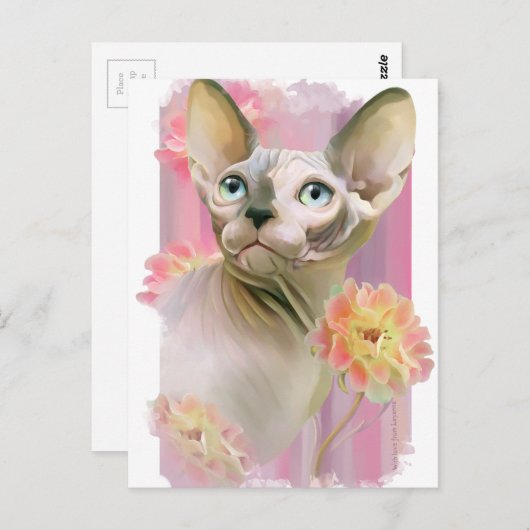 Carte Postale Chat Sphynx (Devant / Derrière)