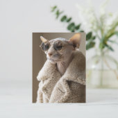 Carte Postale Chat Sphynx élégant en lunettes de soleil et mante (Debout devant)