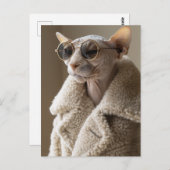 Carte Postale Chat Sphynx élégant en lunettes de soleil et mante (Devant / Derrière)