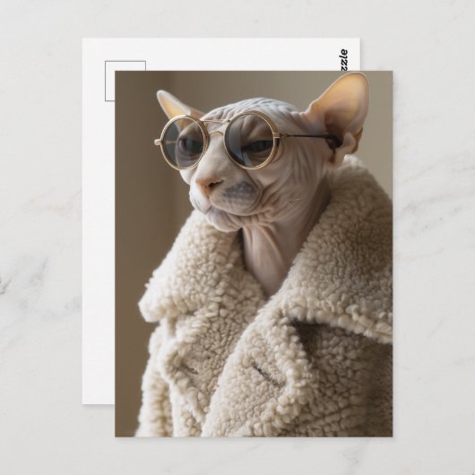 Carte Postale Chat Sphynx élégant en lunettes de soleil et mante (Devant / Derrière)
