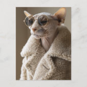 Carte Postale Chat Sphynx élégant en lunettes de soleil et mante (Devant)