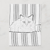 Carte postale - Chat sur chaise à rayures à couleu (Devant)