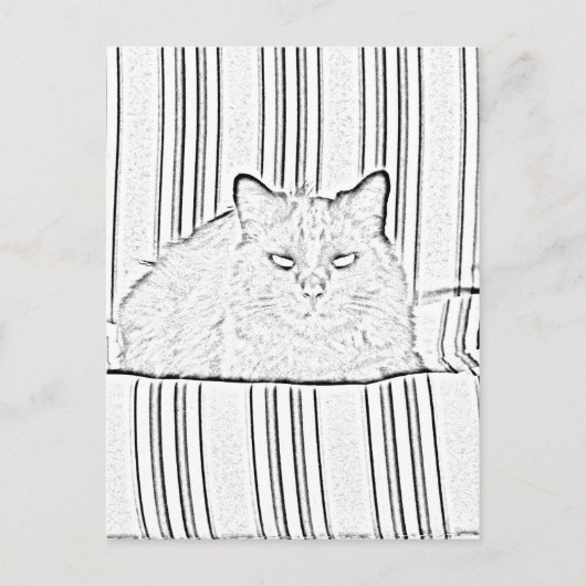 Carte postale - Chat sur Chaise Rayée à Colorier (Devant)