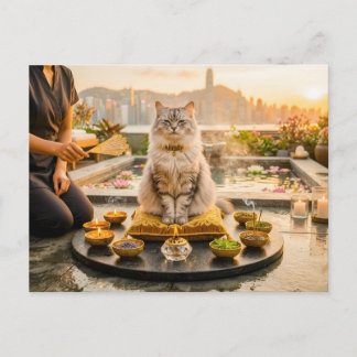 Carte Postale Chat sur la terrasse d'aromathérapie