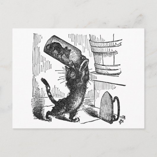 Carte Postale Chat sur le point de masquer bouteille avec la sou (Devant)