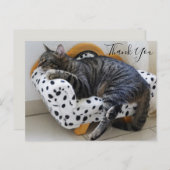 Carte Postale Chat sur Mini Sofa Merci tendance (Devant / Derrière)