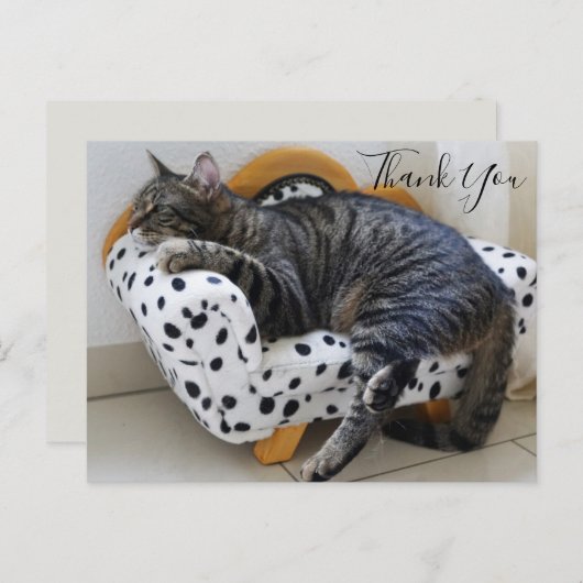 Carte Postale Chat sur Mini Sofa Merci tendance (Devant / Derrière)