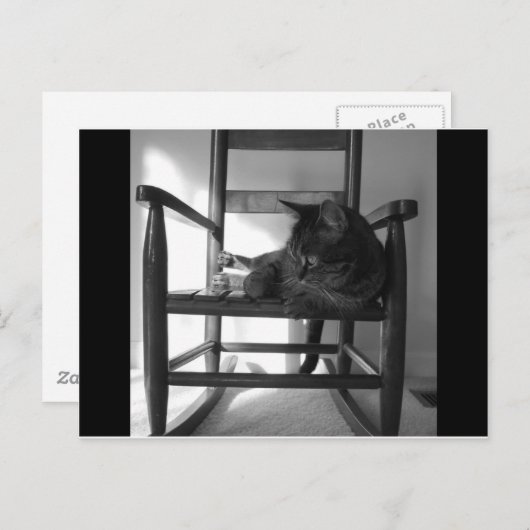 Carte Postale Chat sur rocker (Devant / Derrière)