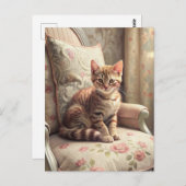 Carte Postale Chat sur une chaise (Shabby Chic) (Devant / Derrière)