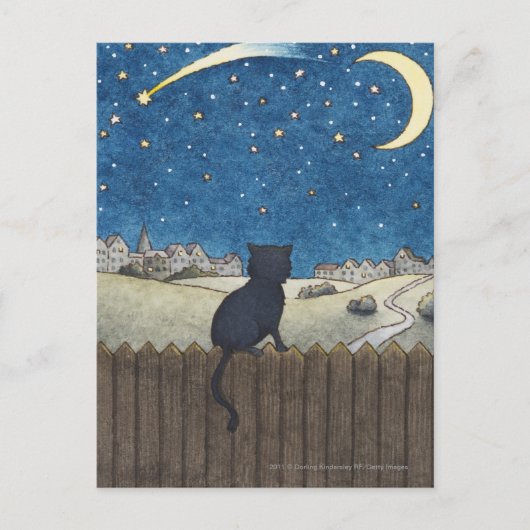 Carte Postale Chat sur une clôture regardant le ciel nocturne au (Devant)