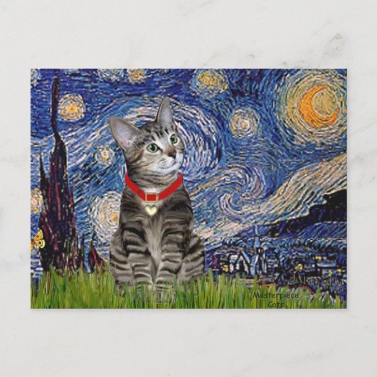 Carte Postale Chat (Tabby2) - Nuit étoilée (Devant)