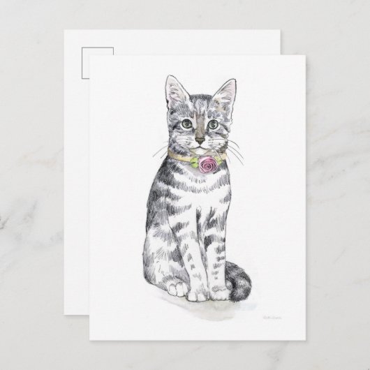 Carte Postale Chat Tabby Fancy (Devant / Derrière)