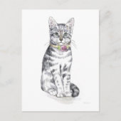Carte Postale Chat Tabby Fancy (Devant)