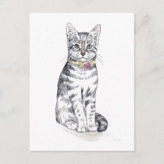 Carte Postale Chat Tabby Fancy (Devant)