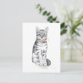 Carte Postale Chat Tabby Fancy (Debout devant)