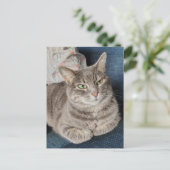 Carte Postale Chat tabby gris adorable (Debout devant)