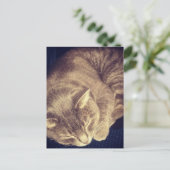 Carte Postale chat tabby gris adorable endormi (Debout devant)