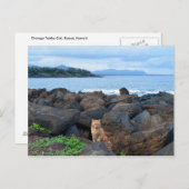 Carte Postale Chat Tabby Orange, Kauai, Hawaï (Devant / Derrière)