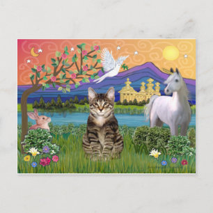 Carte Postale Chat - (Tabby) - Terrain d'Imaginaire