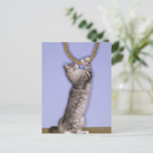 Carte Postale Chat tendant vers la corde (Debout devant)
