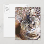 CARTE POSTALE CHAT TIGRÉ (Devant / Derrière)