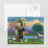 Carte Postale Chat (Tigré 2) - Saint François (Devant / Derrière)