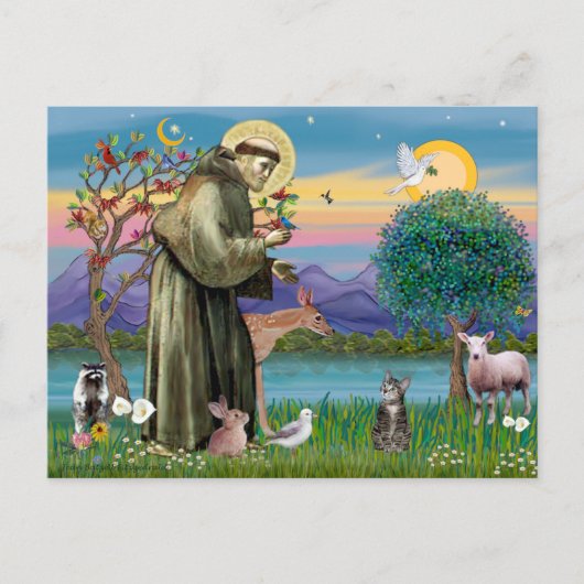 Carte Postale Chat (Tigré 2) - Saint François (Devant)