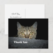 Carte Postale Chat tigré mignon qui regarde Photo Merci (Devant / Derrière)