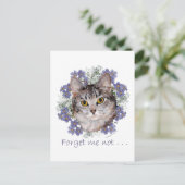 Carte Postale Chat tigré Ne m'oubliez pas (Debout devant)