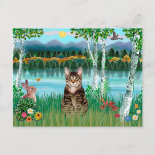Carte Postale Chat tigré tabby - Bouleaux