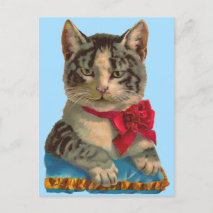 Carte Postale Chat tigré victorien
